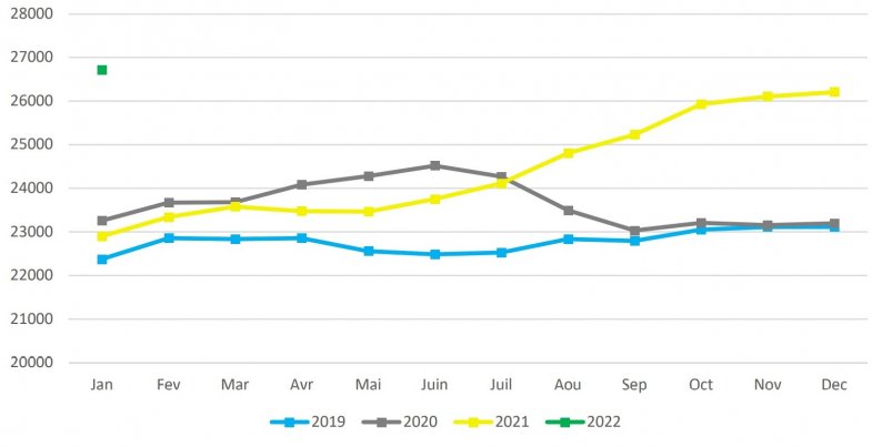 Le marché de l'occasion marque le pas sur fond de hausse des prix