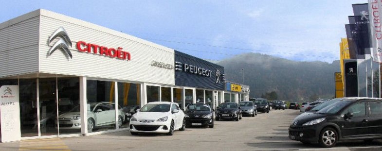 Arnaud Treille, Stellantis France :  "Nous voulons donner plus d’appétit au réseau"